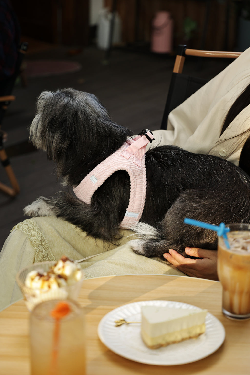 VELVET Dog harness Petal Pink