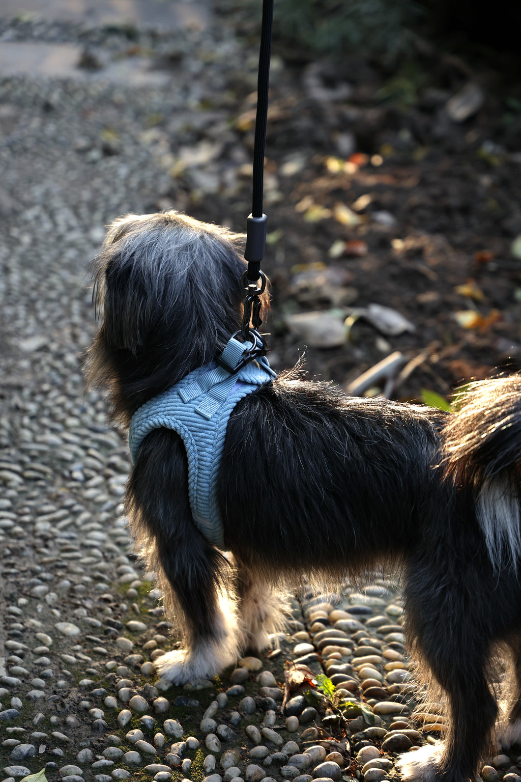 VELVET Dog harness Dusty Blue