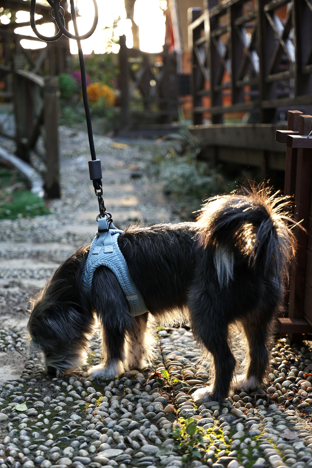 VELVET Dog harness Dusty Blue