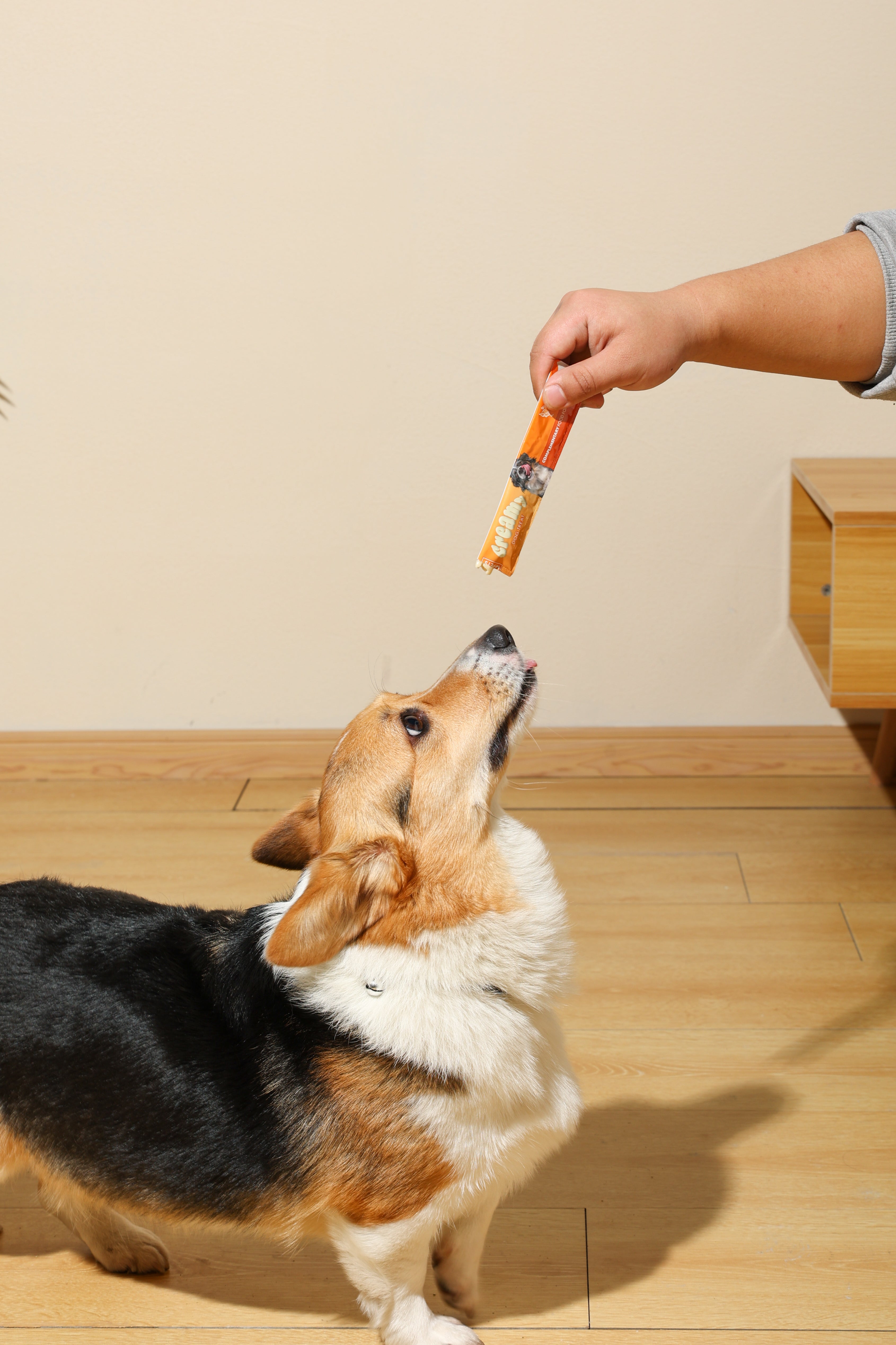 Creamy Treats for Dogs - Chicken – M-PETS