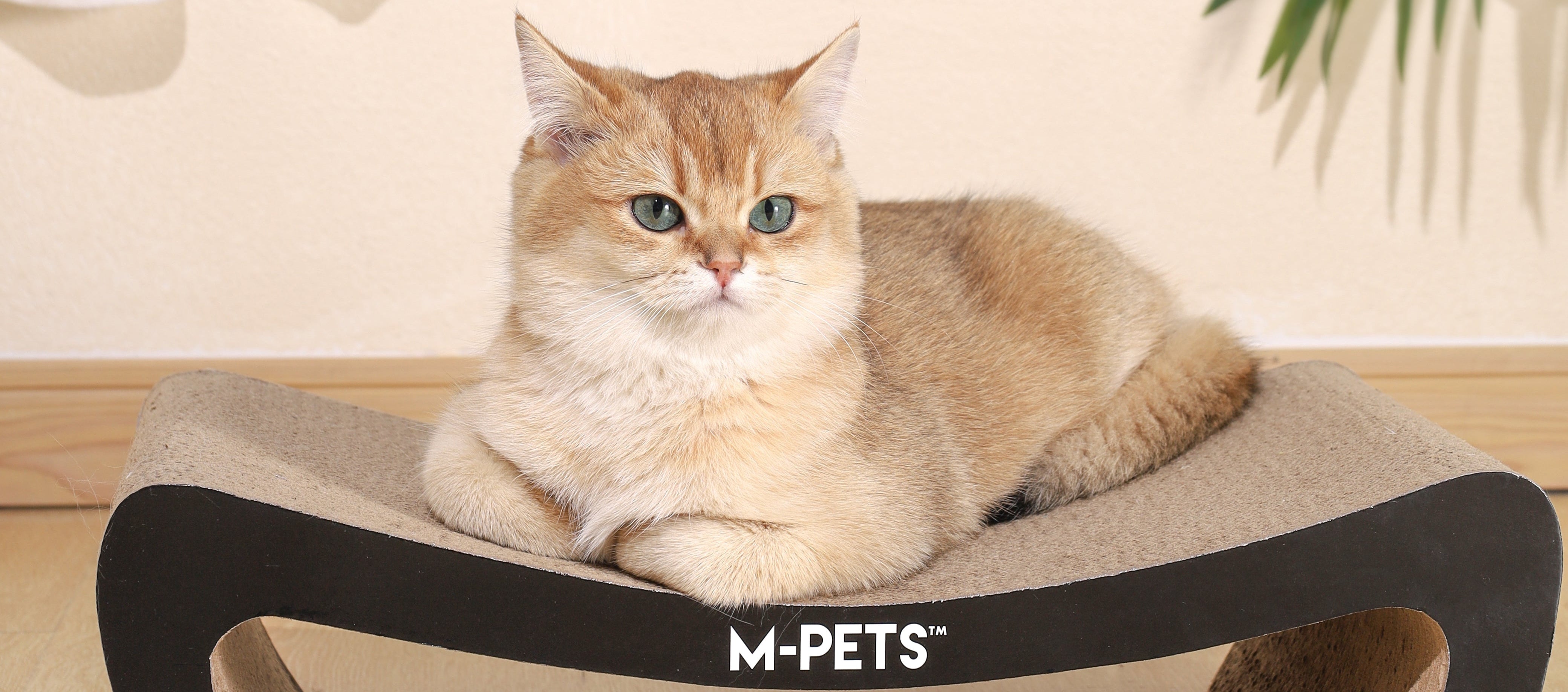 My Scratchy – M-PETS