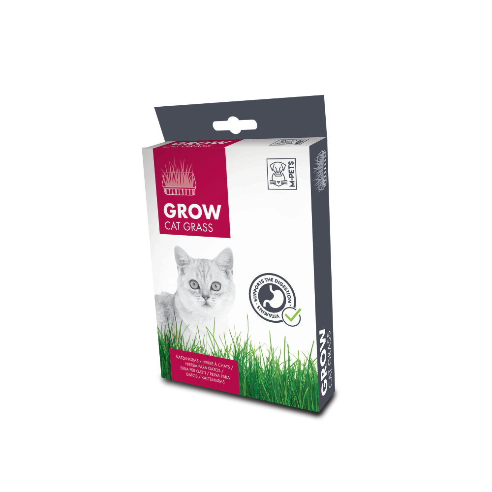 GROW Cat Grass