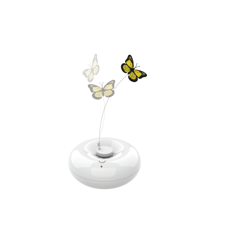 CRAZY Butterfly White