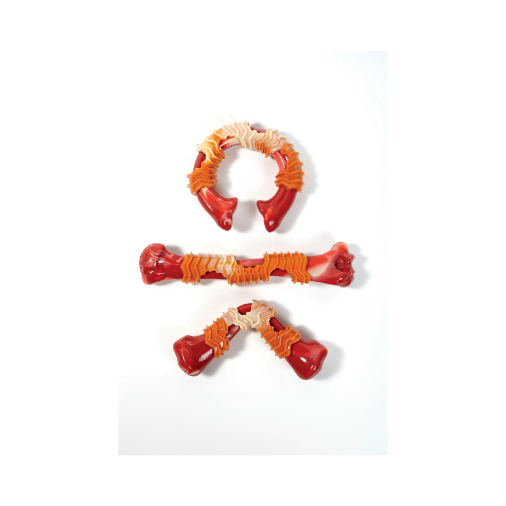 CARNIVORE Dog Toy Boomerang Bone  - Bacon scent