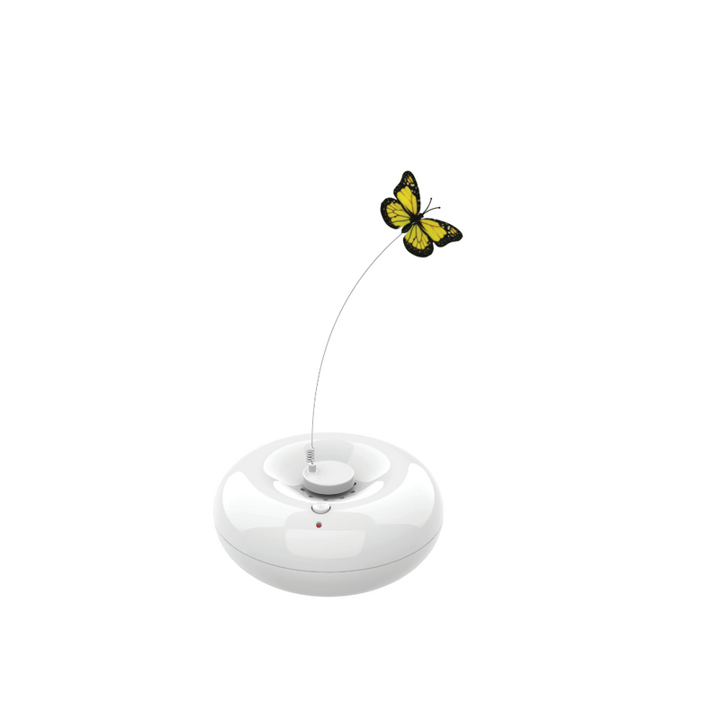 CRAZY Butterfly White