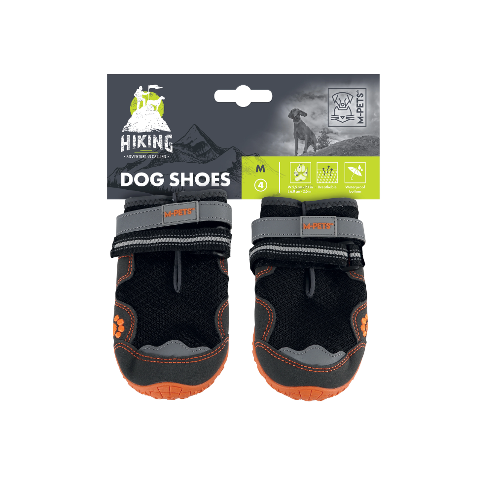 Chaussures de randonnée pour chien