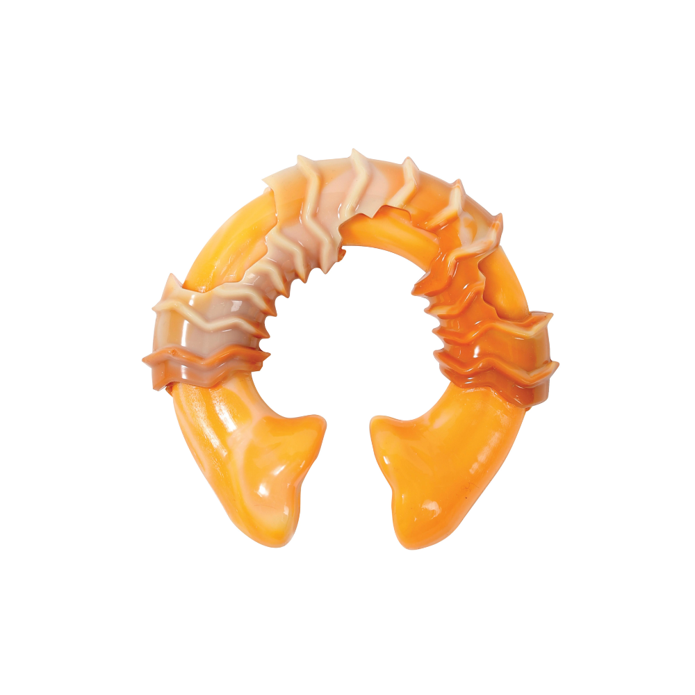 CARNIVORE Dog Toy Ring Bone - Bacon scent