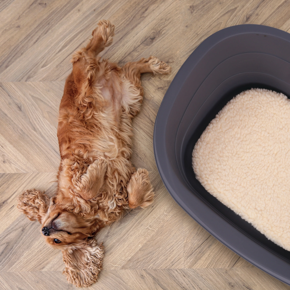 East Java Dog JAVA Dog Bed with Cushion – M-PETS