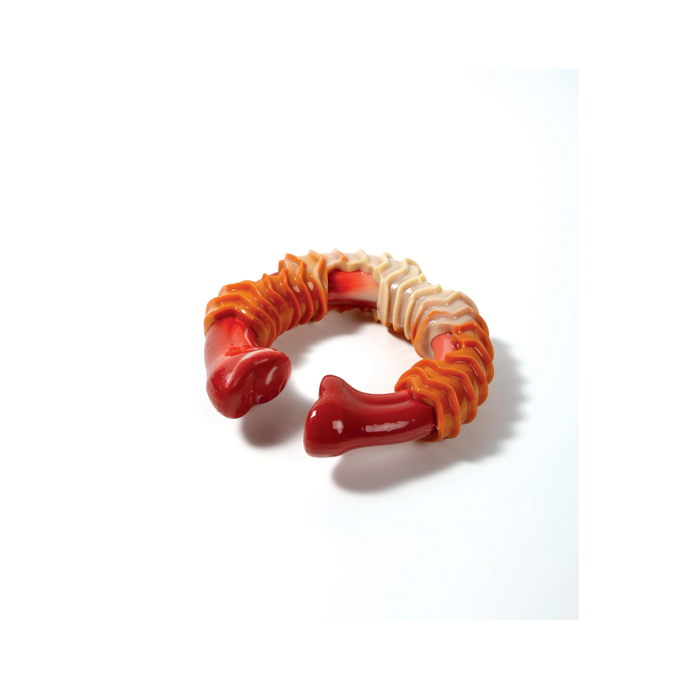 CARNIVORE Dog Toy Ring Bone - Bacon scent