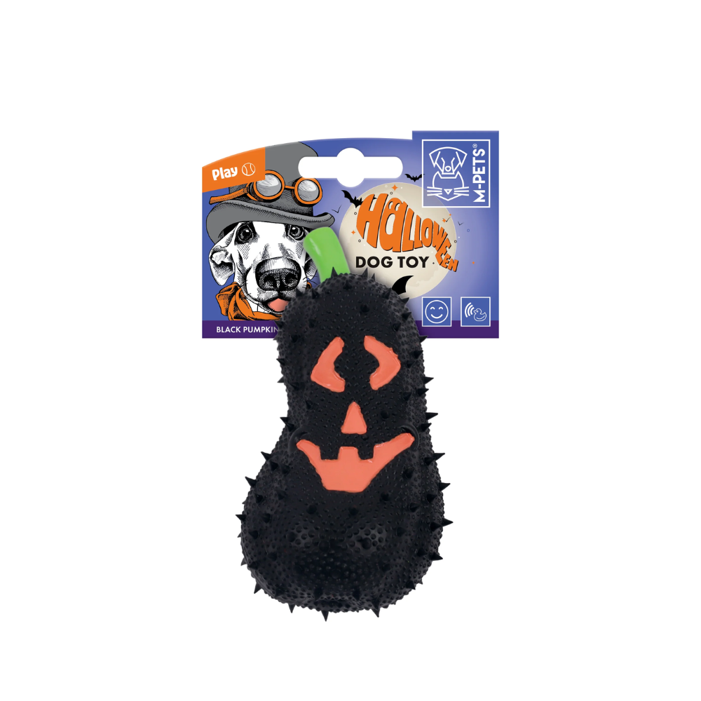 Halloween Dog Toy - Black Pumpkin