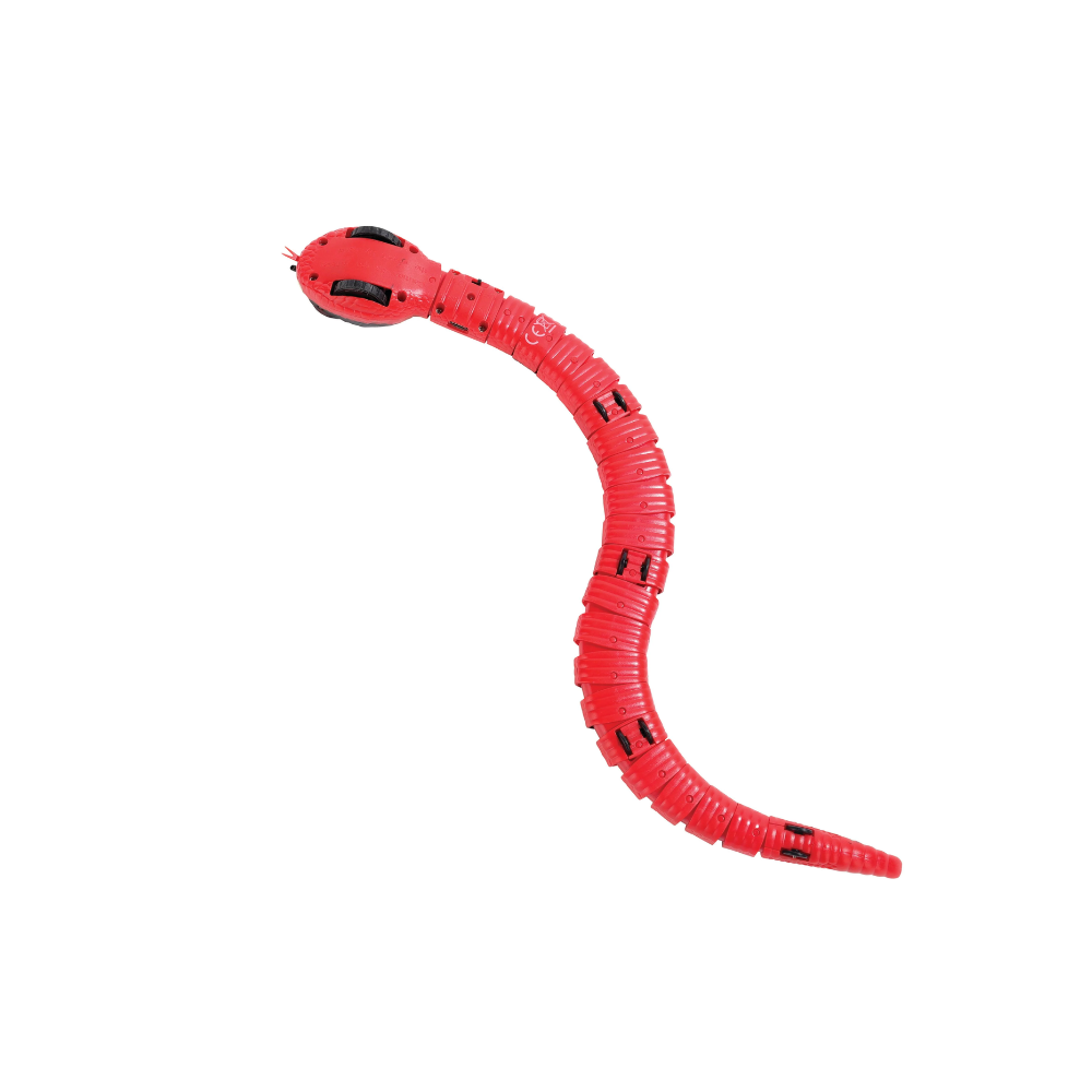 Sneaky Snake Interactive Cat Toy