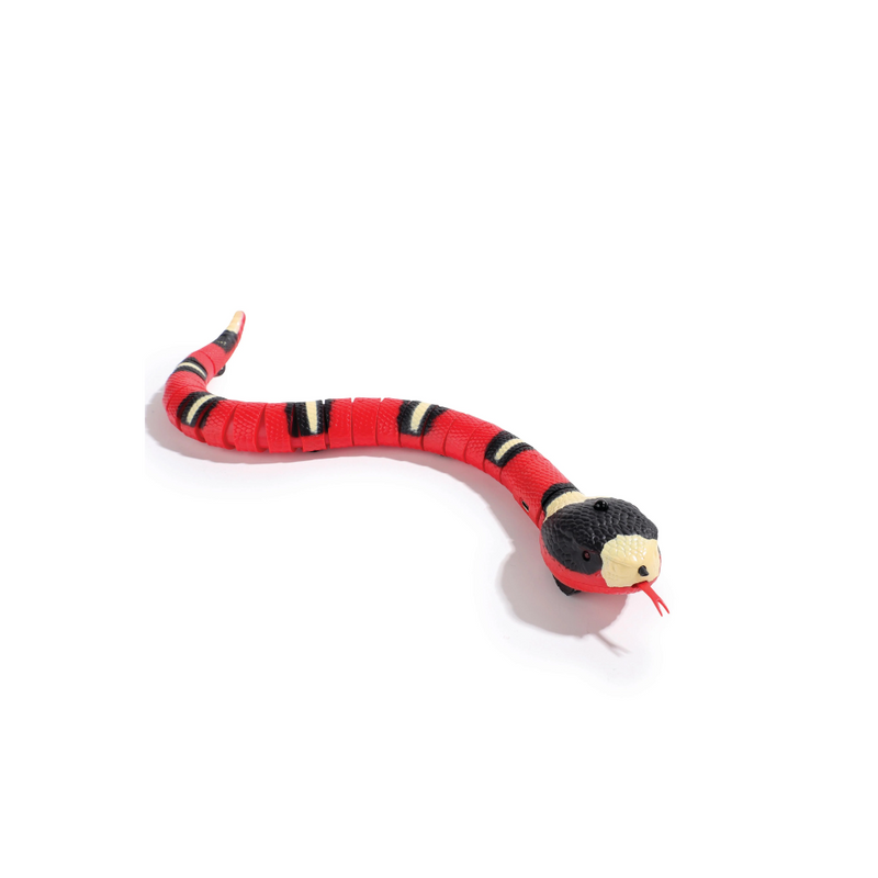 Sneaky Snake Interactive Cat Toy