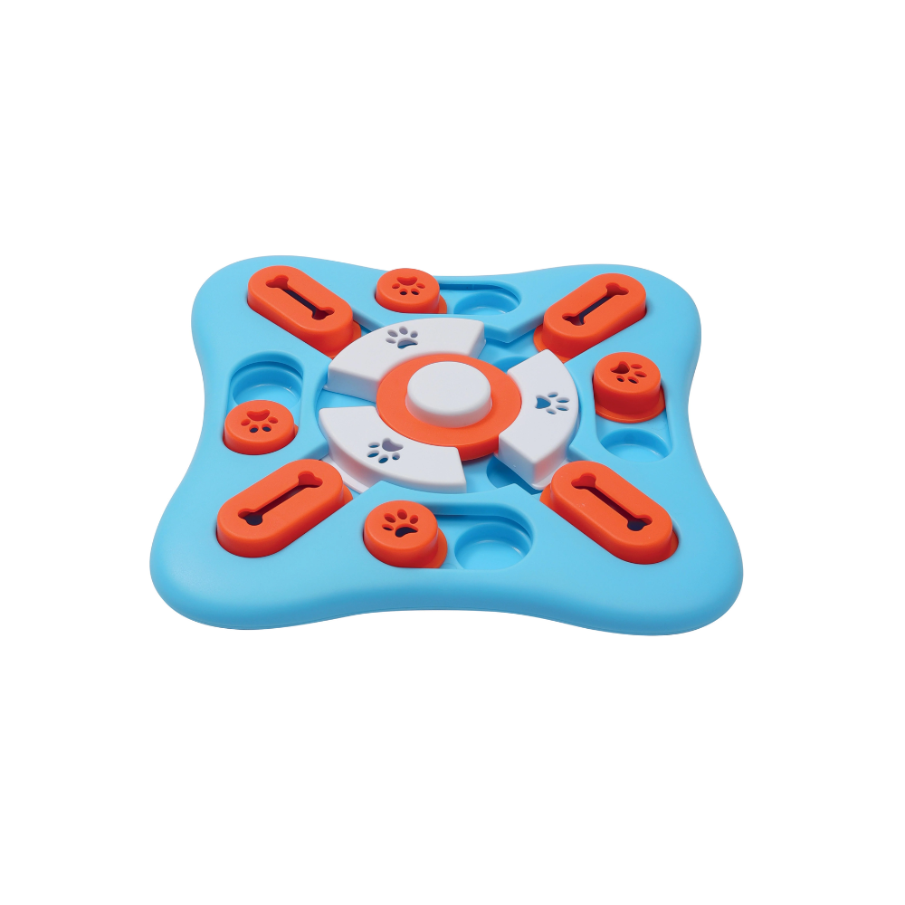 BRAINY GAMES Copernic - L2 Medium