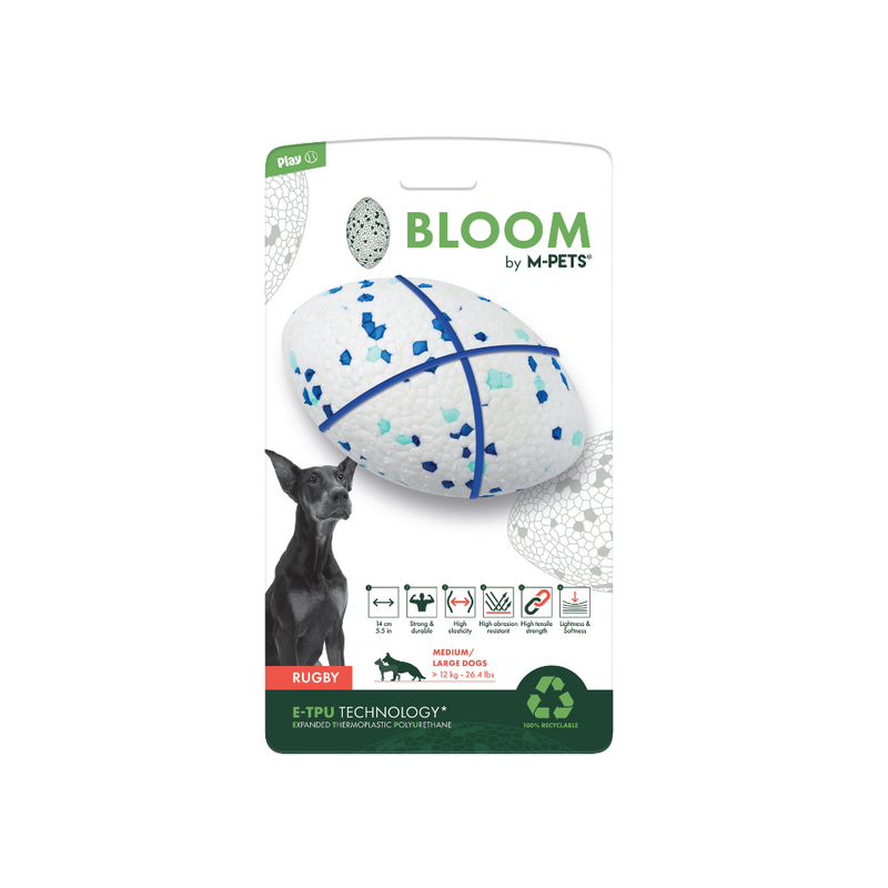 BLOOM Rugby Blue & White