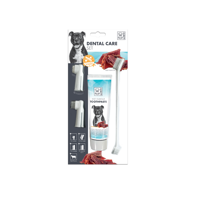 DENTAL CARE SET - Beef flavor Toothpaste Kit