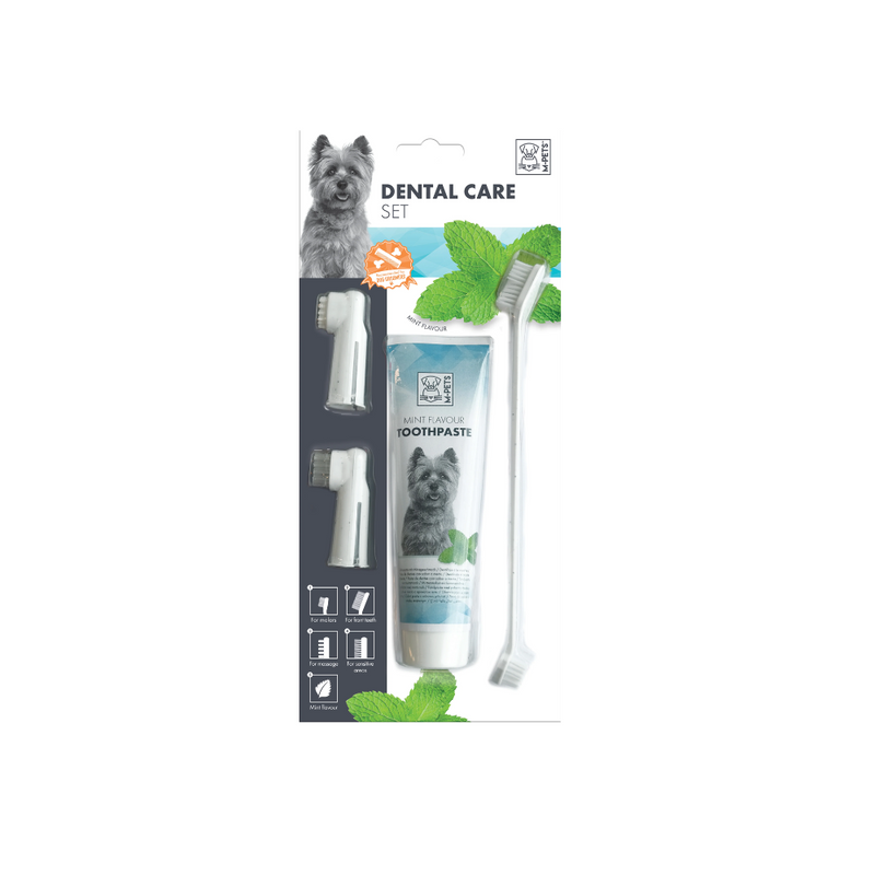 DENTAL CARE Set - mint flavour