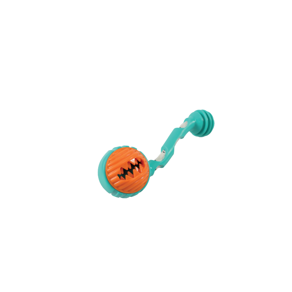 FLYER Dunmbbell Outdoor Dog Toy - Dumbbell