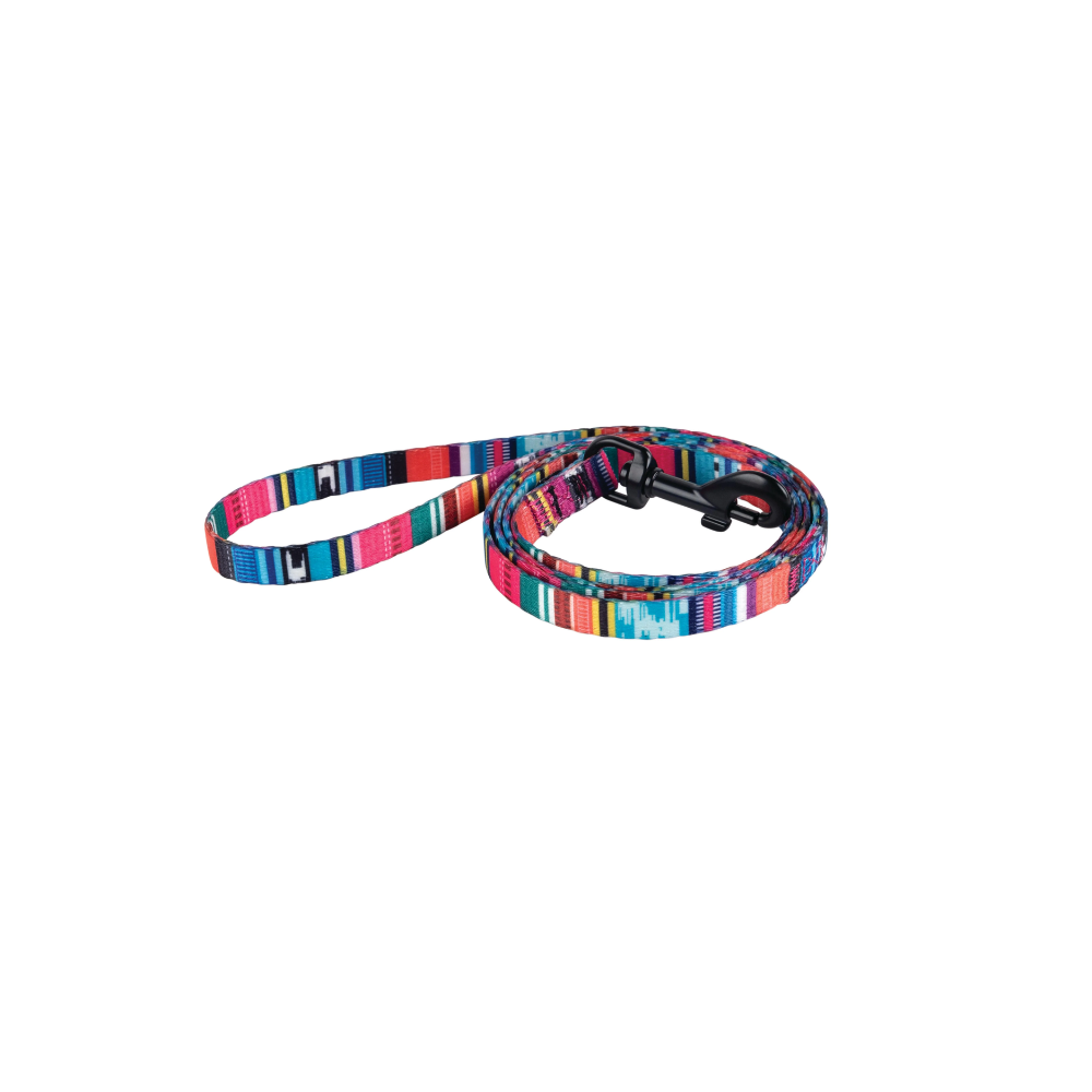 URBANSTYLE Jazz Stripes Cat ECO SET (harnais et laisse)