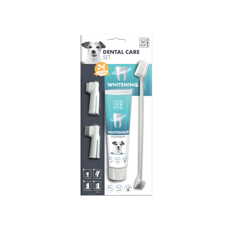 WHITENING DENTAL CARE Set