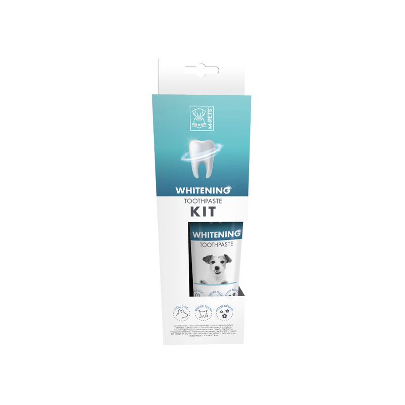 WHITENING Toothpaste Kit