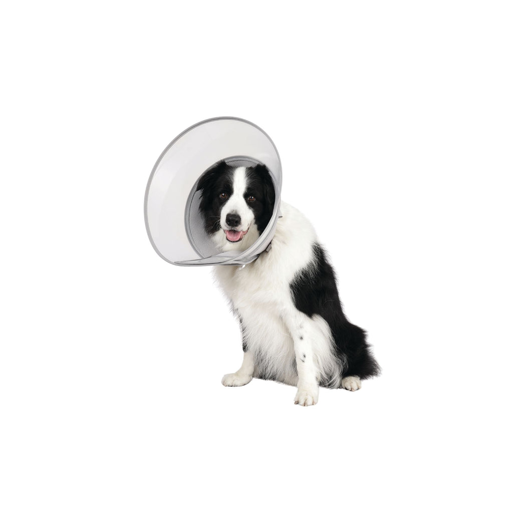 PROCARE Cone Collar
