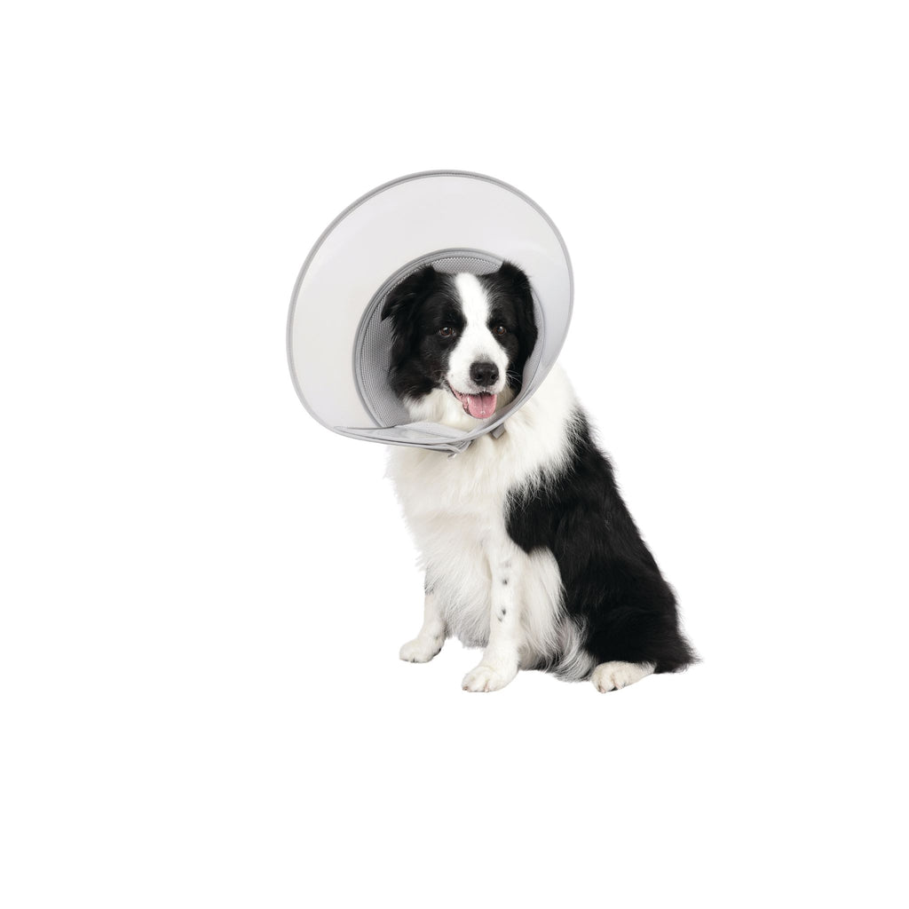 PROCARE Cone Collar
