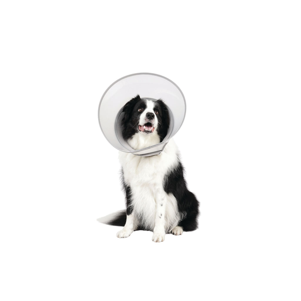PROCARE Cone Collar