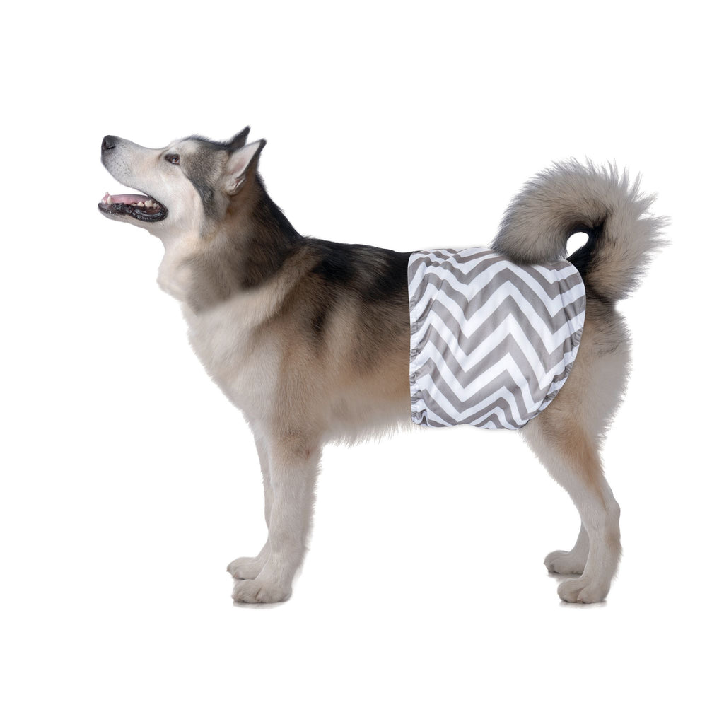 Male Dog Washable Diaper 2pcs