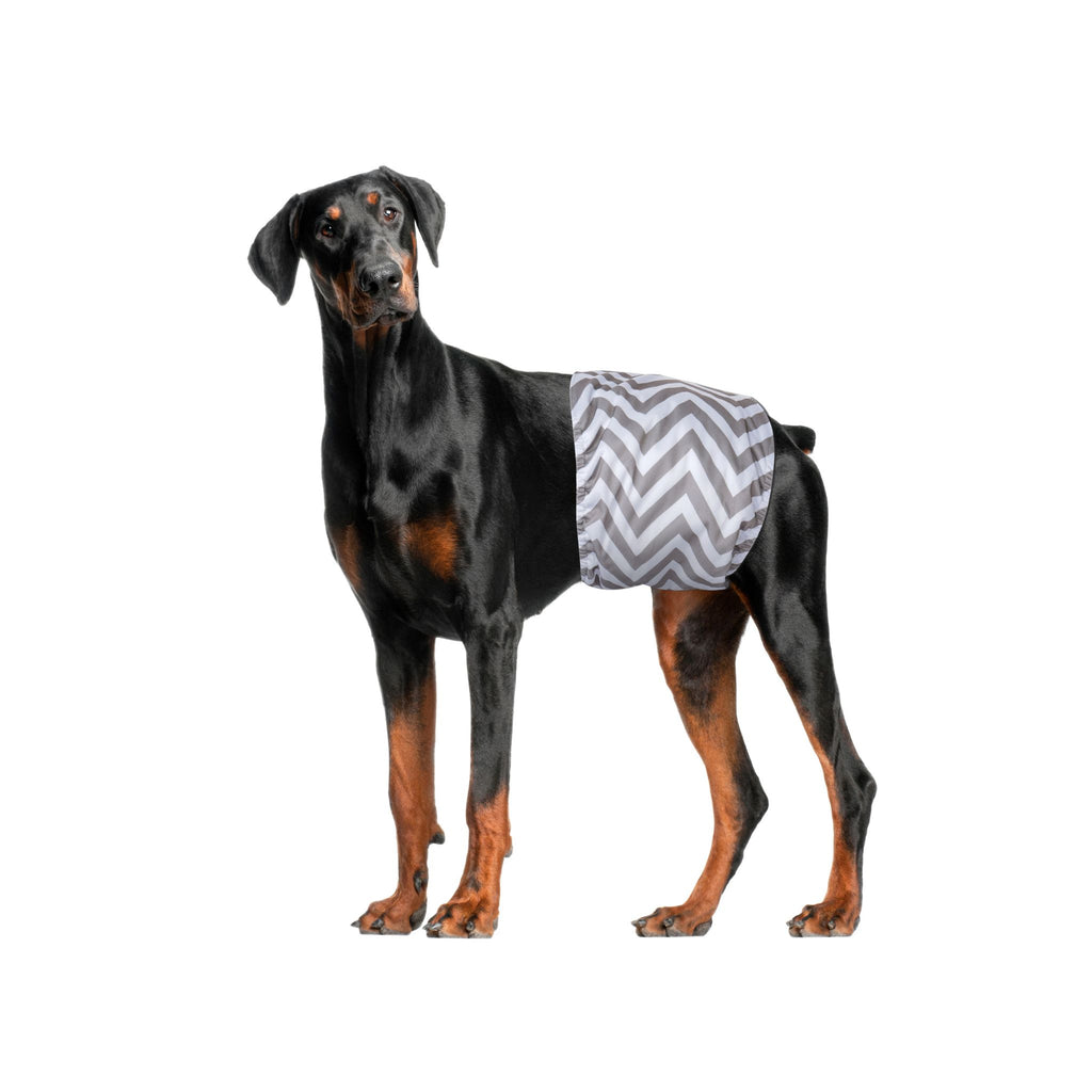 Male Dog Washable Diaper 2pcs
