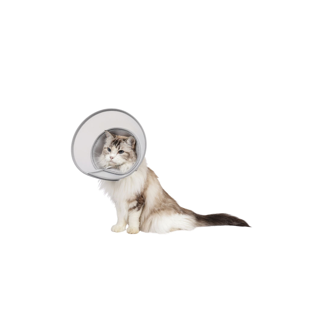 PROCARE Cone Collar
