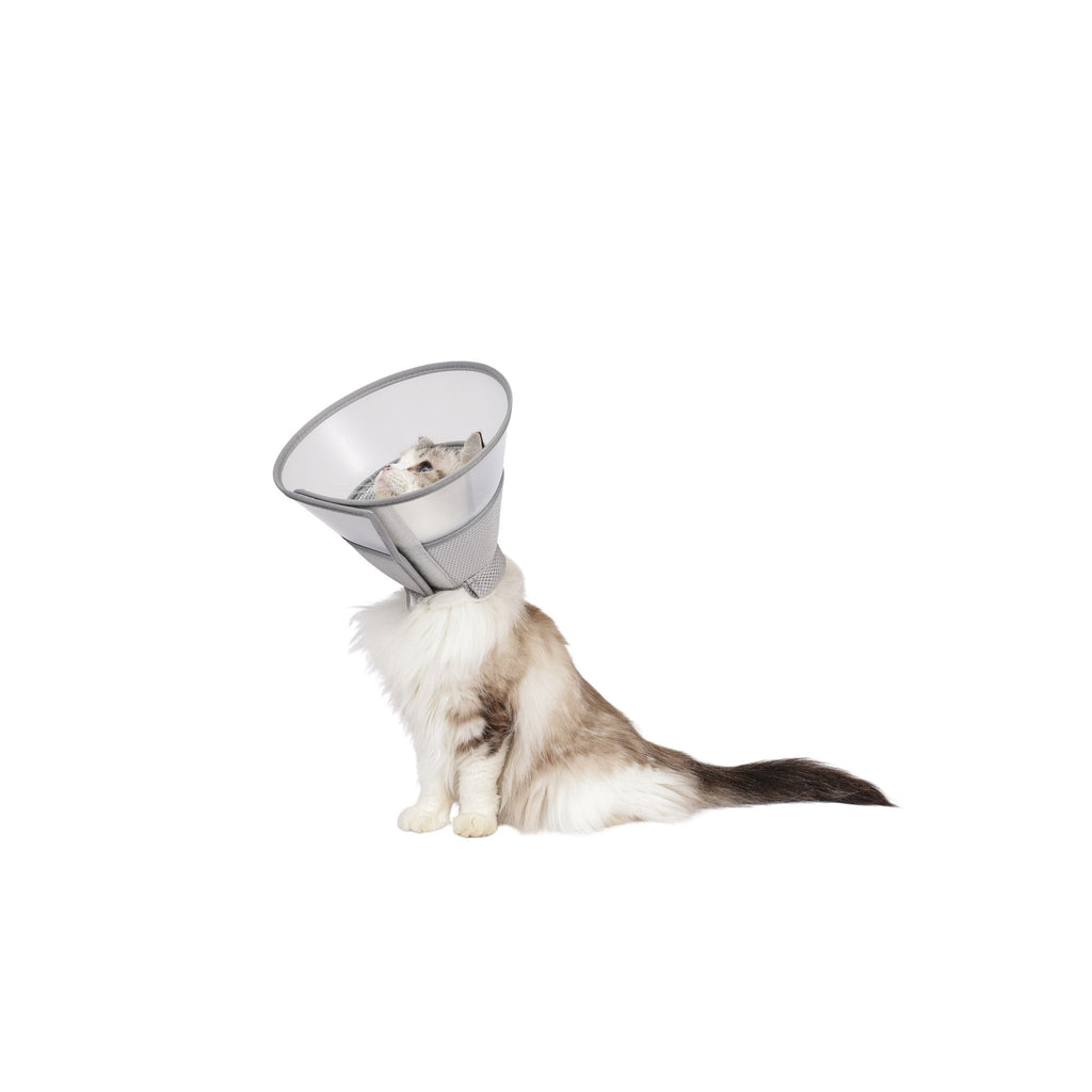 PROCARE Cone Collar