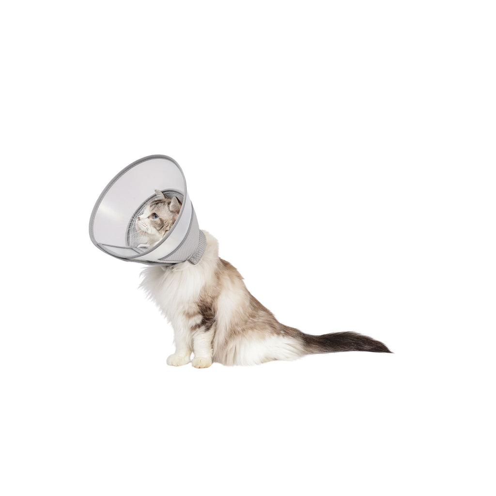PROCARE Cone Collar