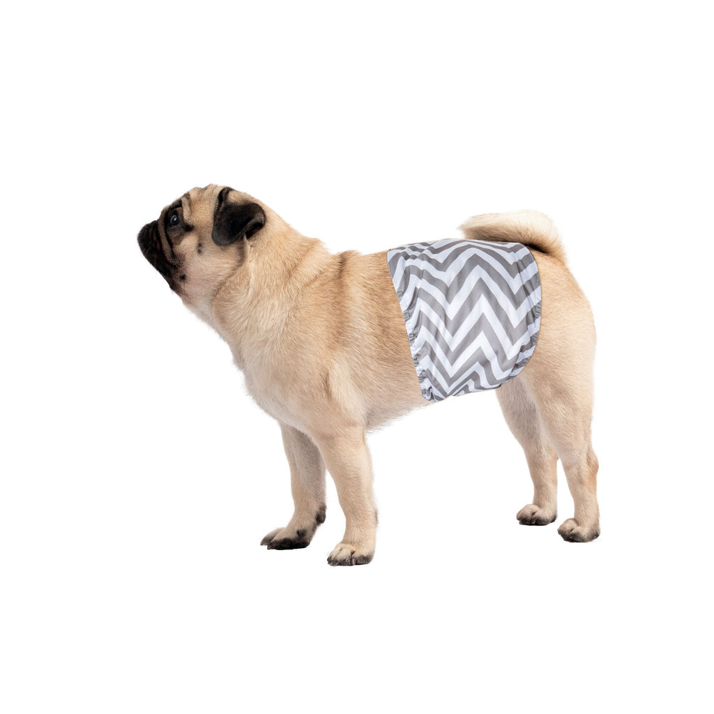 Male Dog Washable Diaper 2pcs