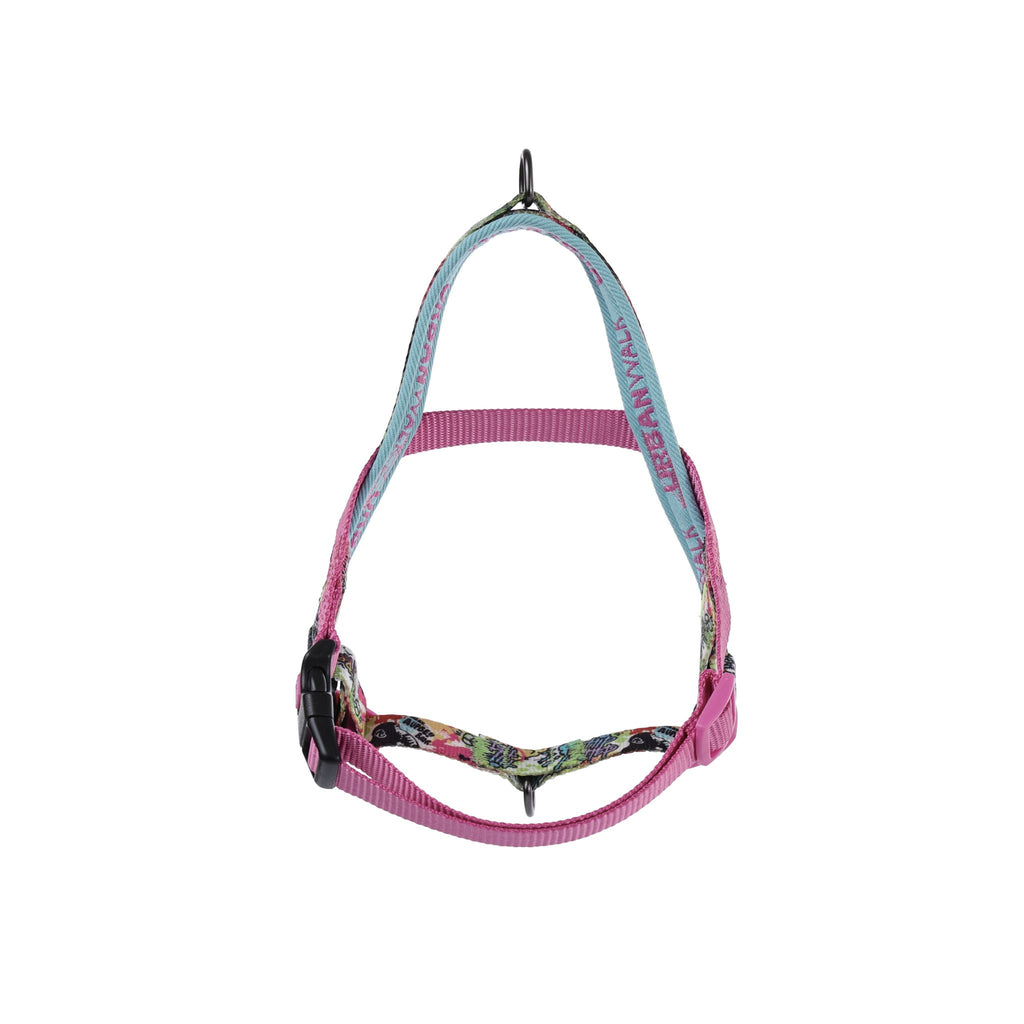 URBAN STYLE GRAFFITI Norwegian Dog harness