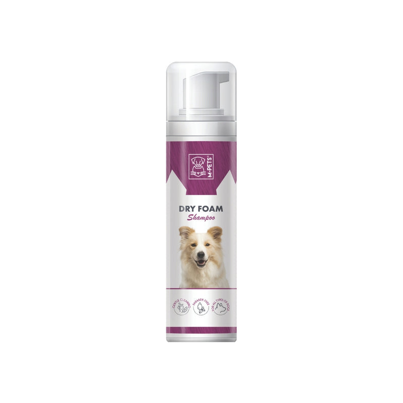 DRY FOAM 230 ml