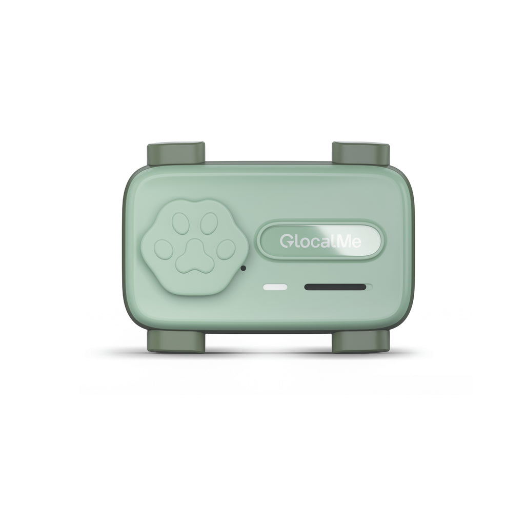 GLocalMe PETPHONE Sage Green - with display