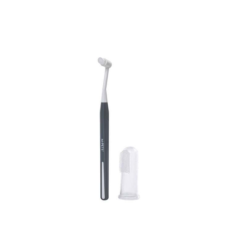 Dental Toothbrush SET - 2pcs