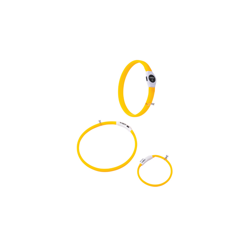 FLASH LED rechargeable collar Orange