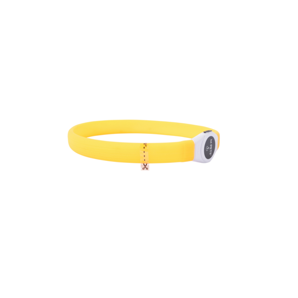 FLASH LED rechargeable collar Orange