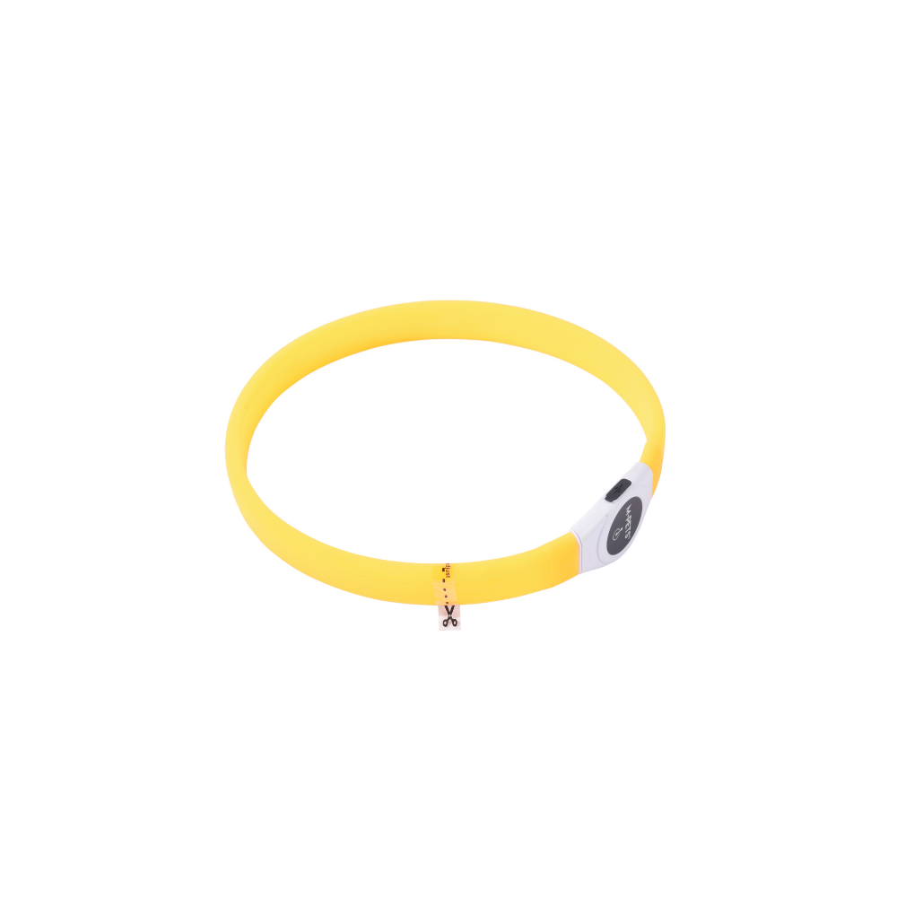 FLASH LED rechargeable collar Orange