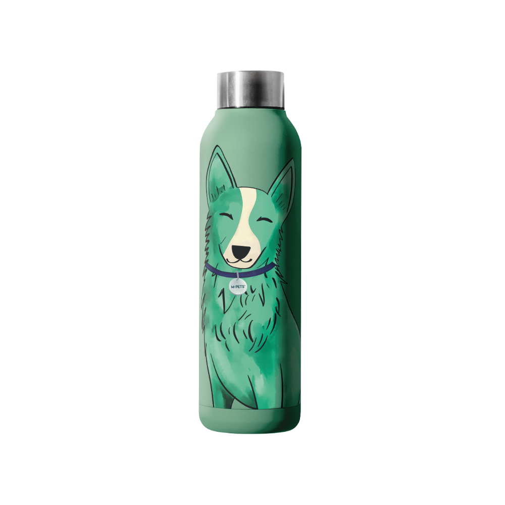 PETJOY Purrfect Hydration Stainless Drinking Bottle PetFamily