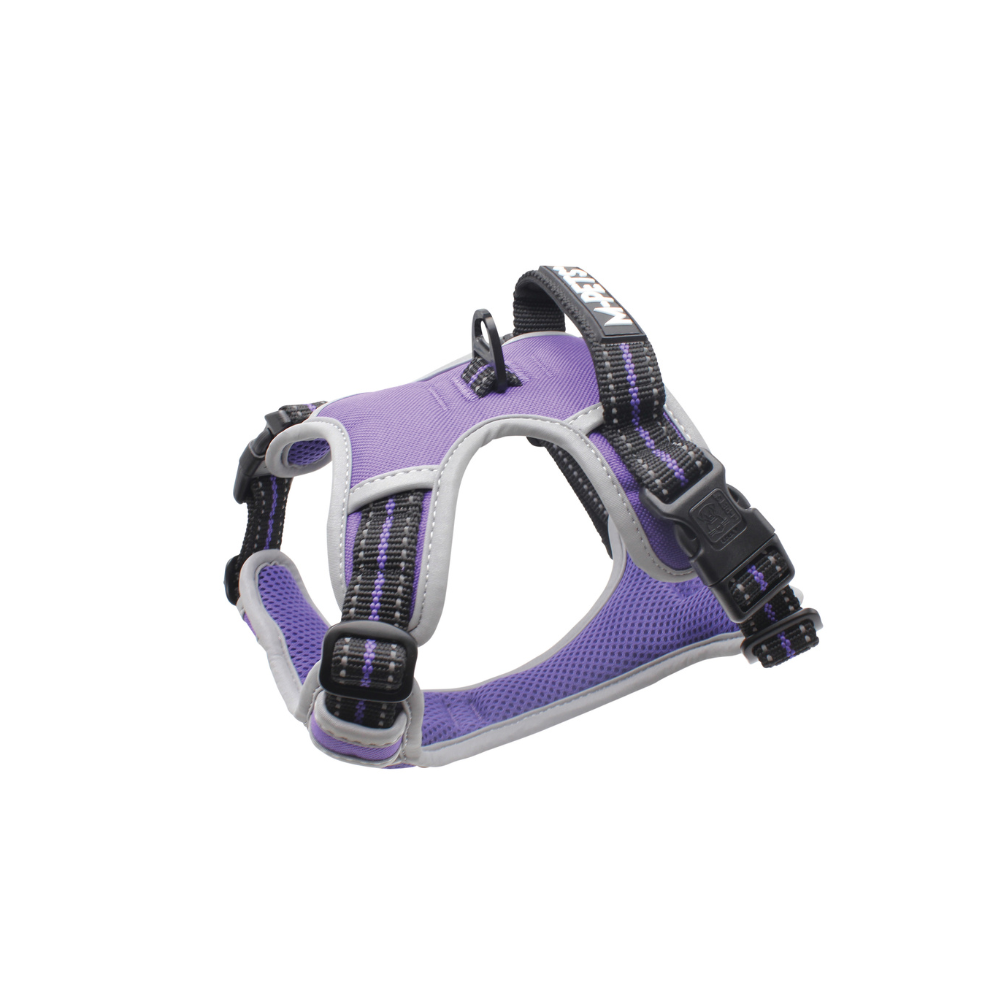 HIKING Harness Royal Purple