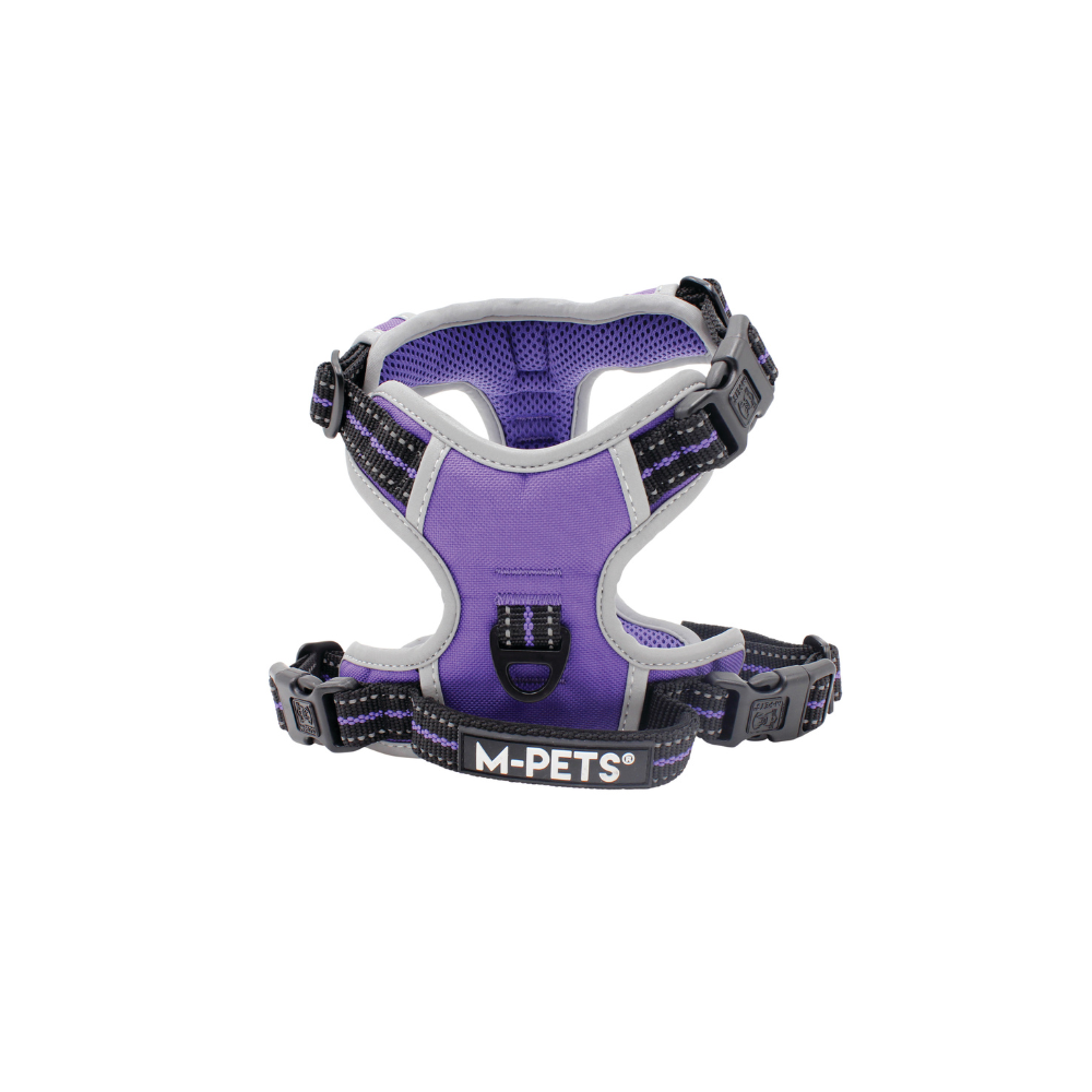 HIKING Harness Royal Purple