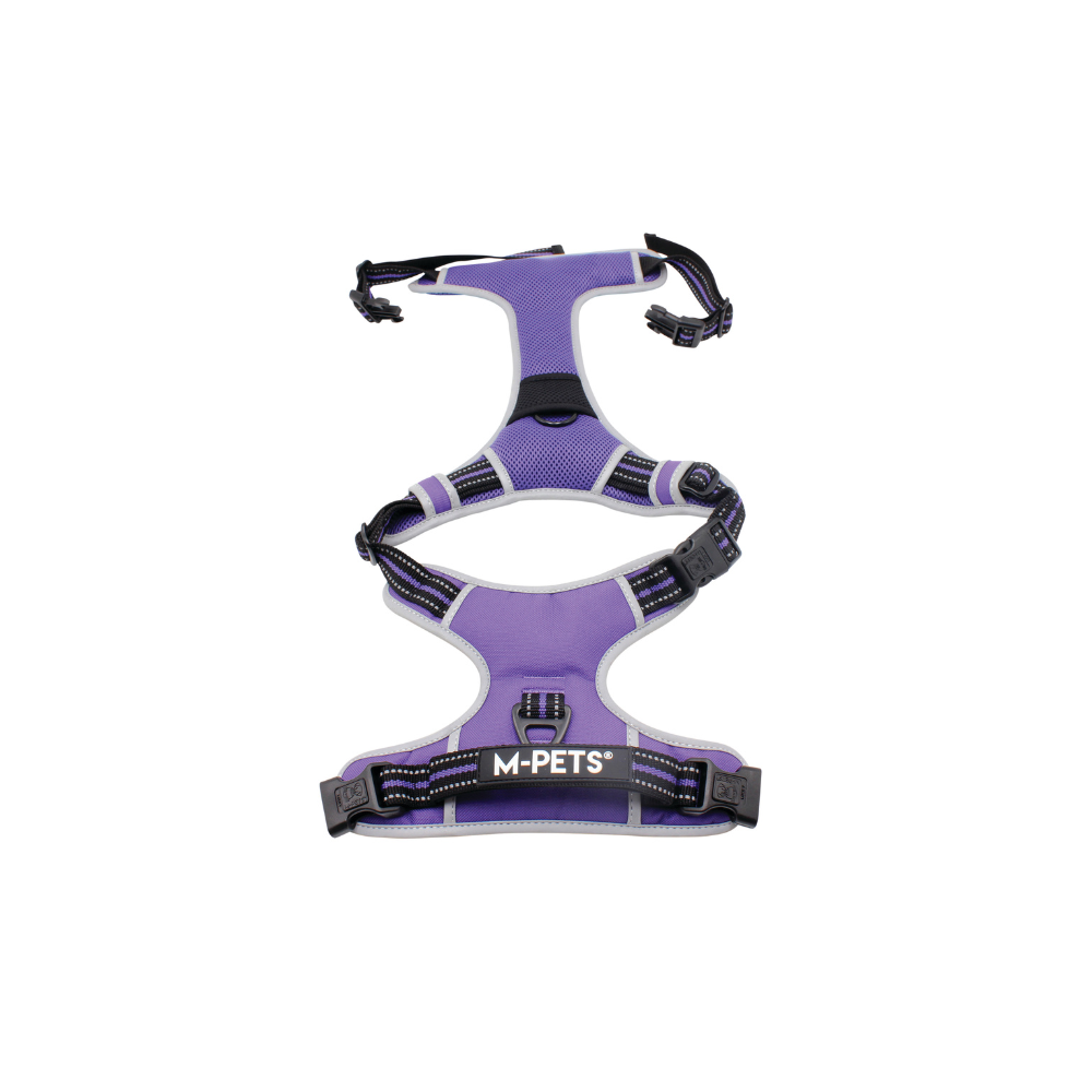 HIKING Harness Royal Purple