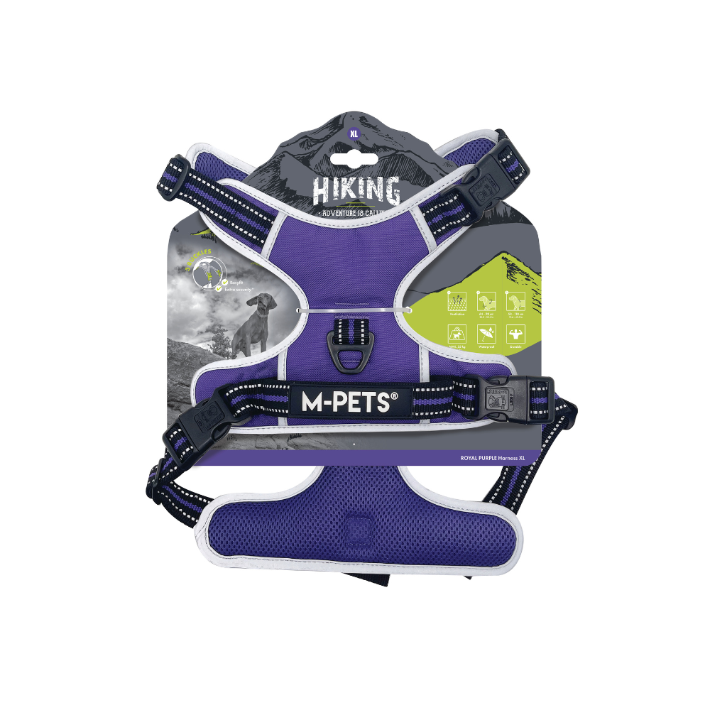 HIKING Harness Royal Purple