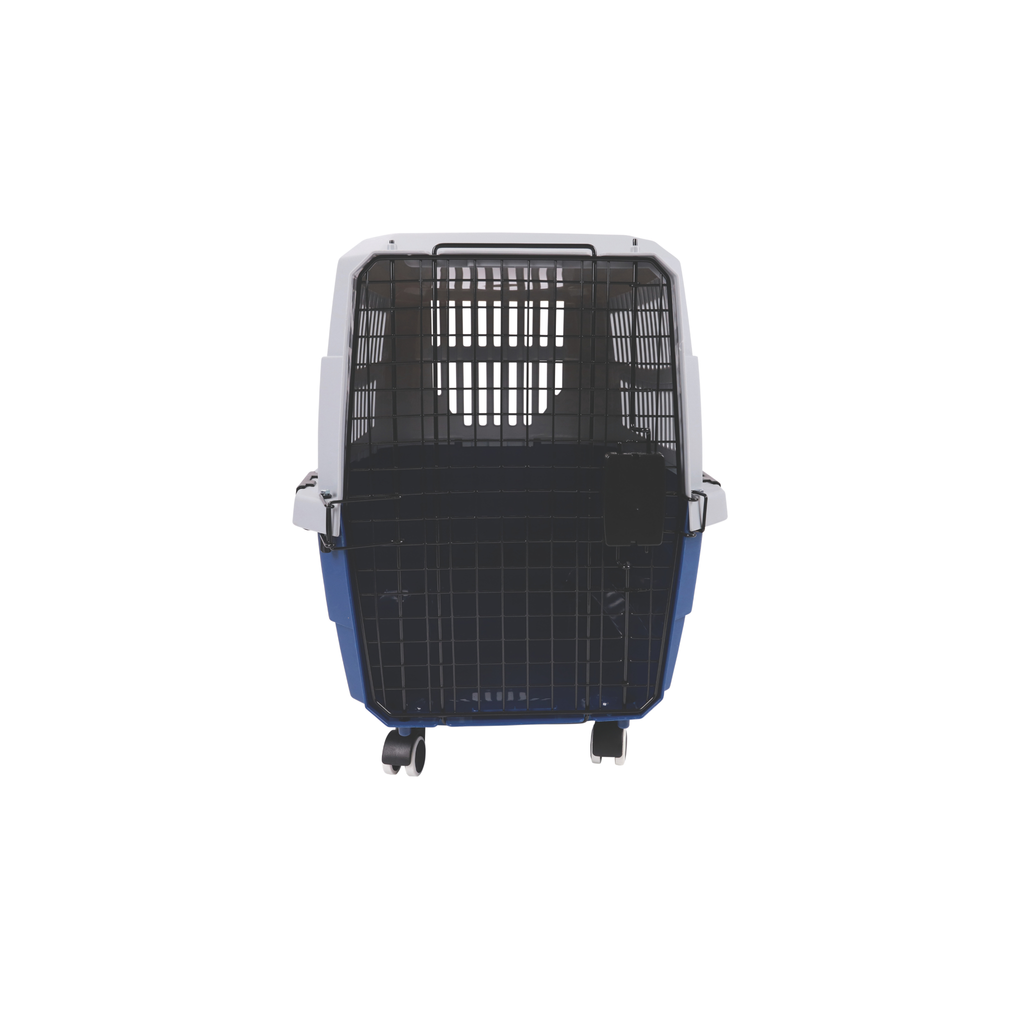 VIAGGIO Carrier Blue & Grey