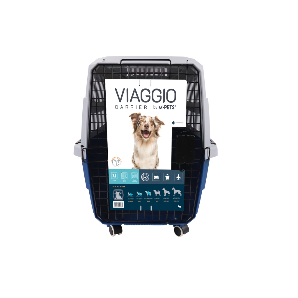 VIAGGIO Carrier Blue & Grey