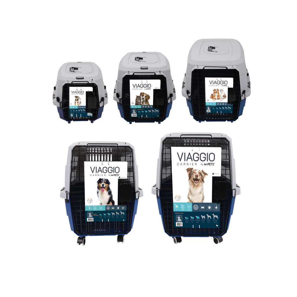 VIAGGIO Carrier Blue & Grey