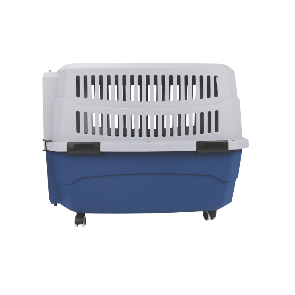 VIAGGIO Carrier Blue & Grey