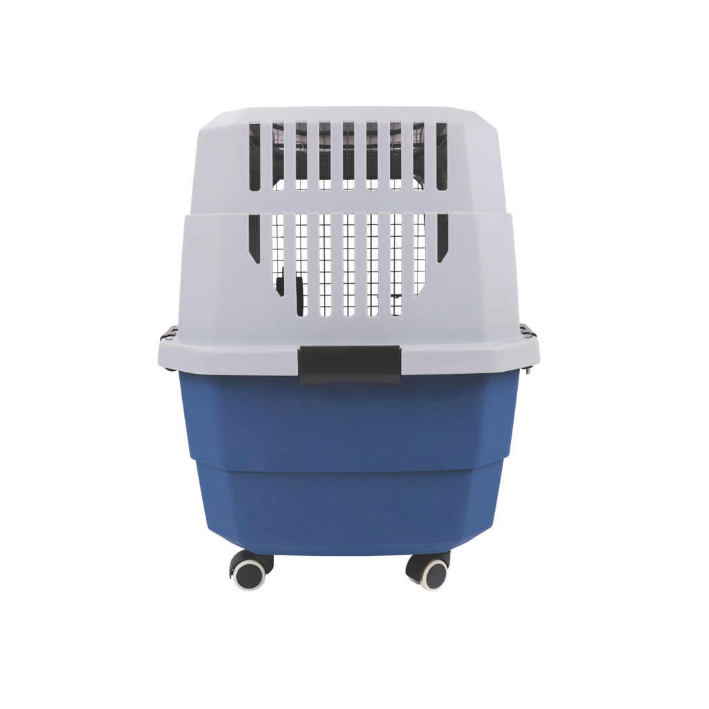 VIAGGIO Carrier Blue & Grey